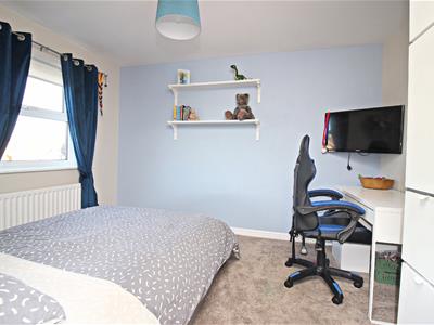 Picture 15